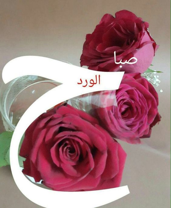 صباح الورود