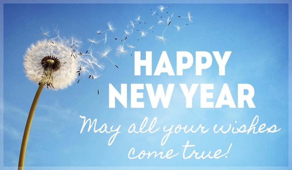 صور 2019