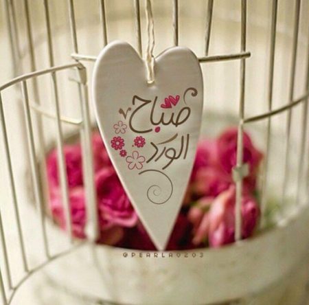 صور 2019