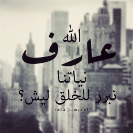صور 2019