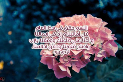 صور 2020