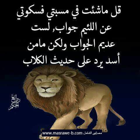 صور اسد : اجمل الصور للاسود والنمور، اسد ثري دي، خلفيات اسود 
