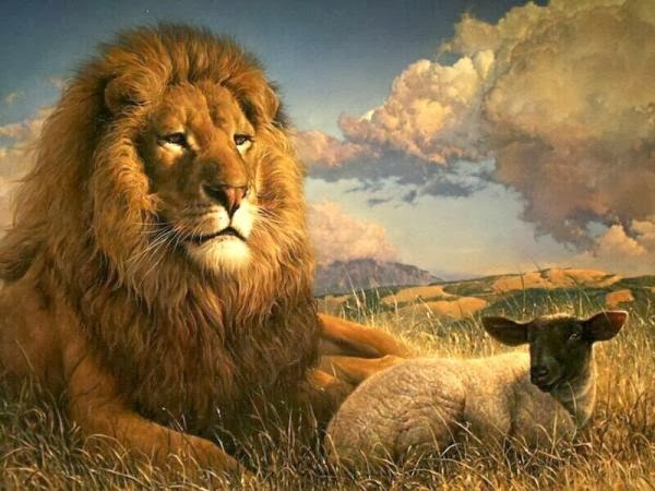 صور اسد : اجمل الصور للاسود والنمور، اسد ثري دي، خلفيات اسود 