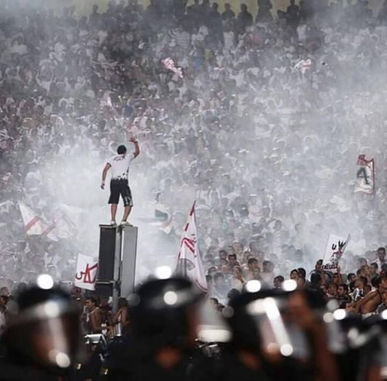 صور الزمالك