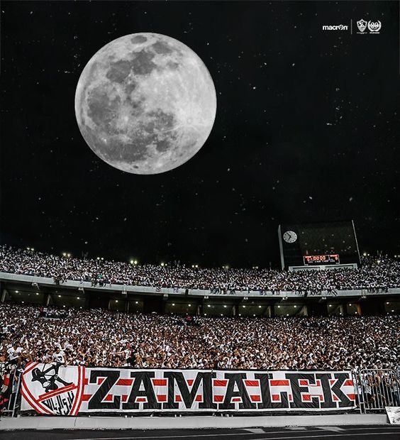 صور الزمالك