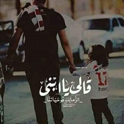 صور الزمالك