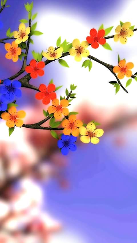 صور الشاشة