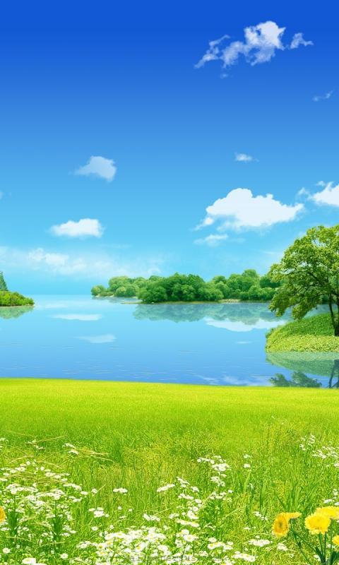 صور الشاشة