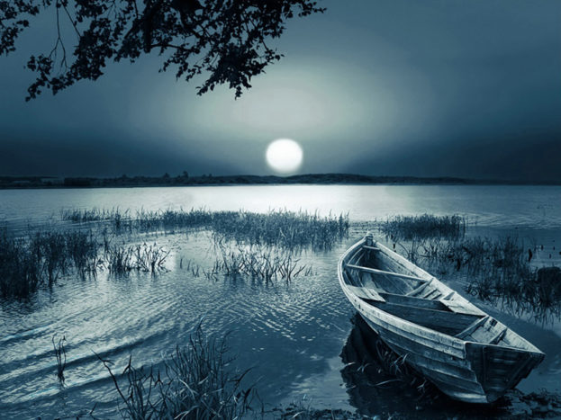 صور الشاشة