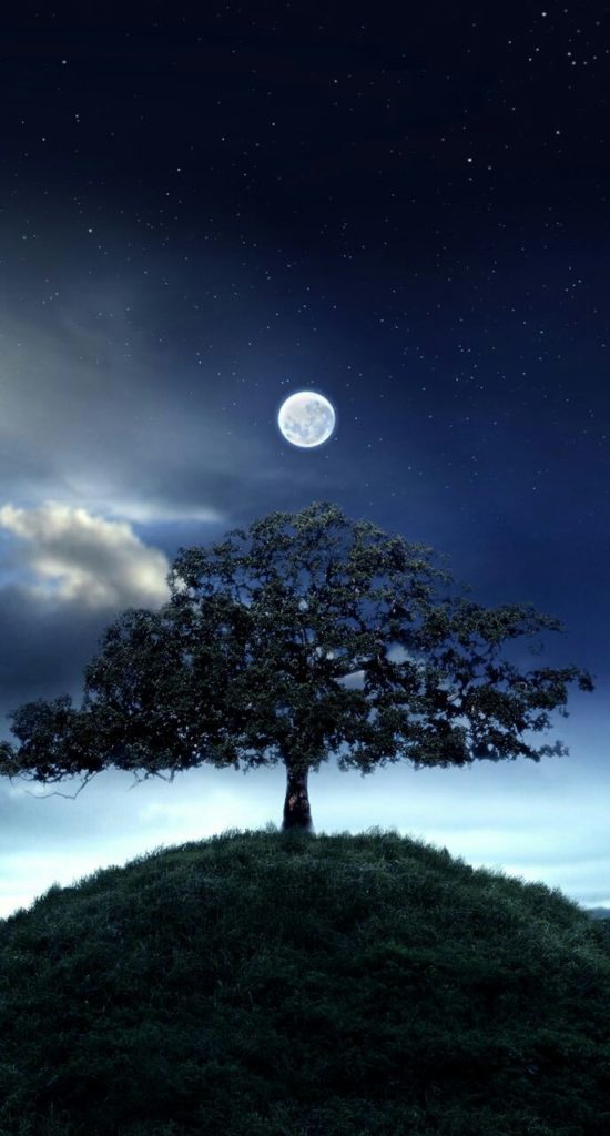 صور الشاشة