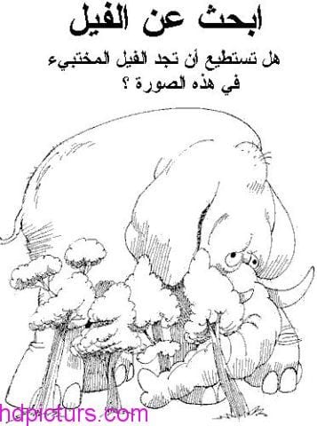 صور الغاز