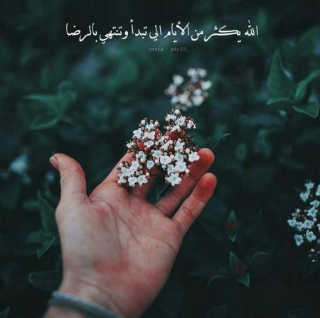 صور الوتساب