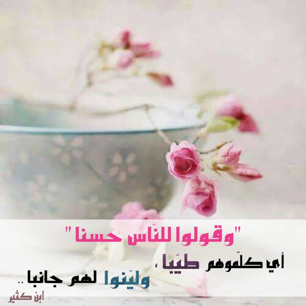 صور الوتساب