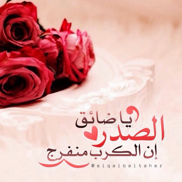 صور الوتساب