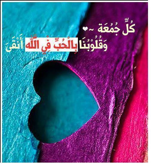 صور الوتساب