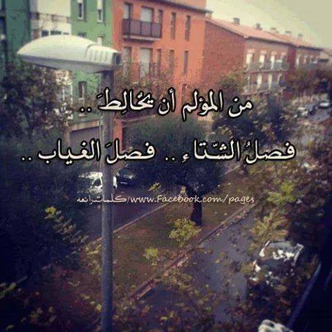 صور الوتساب