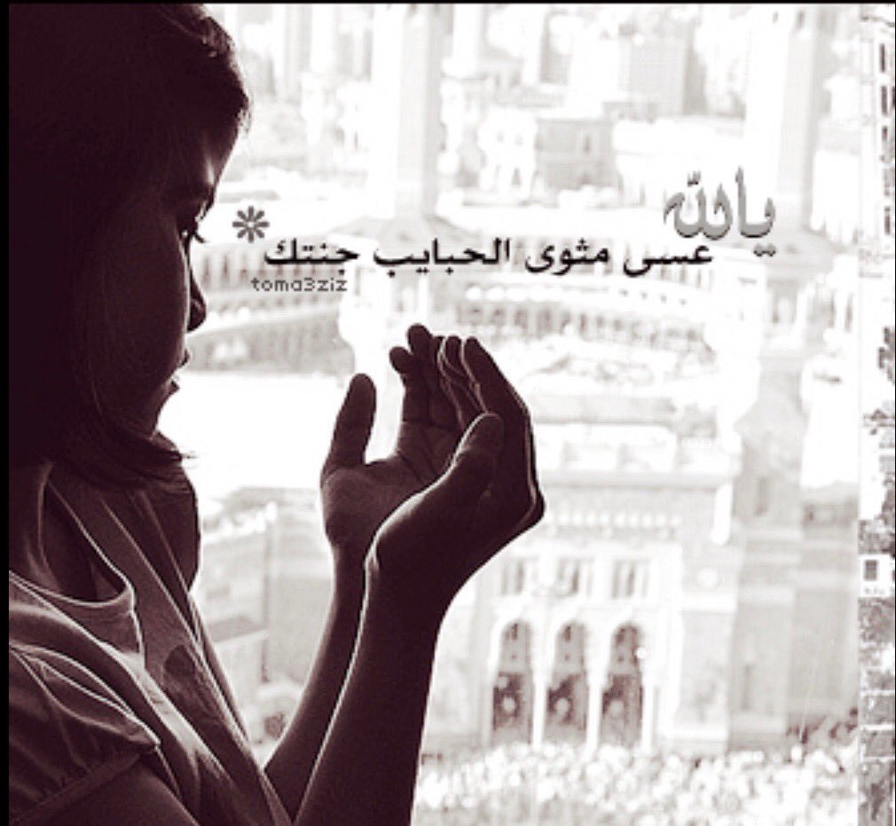 صور الوتساب