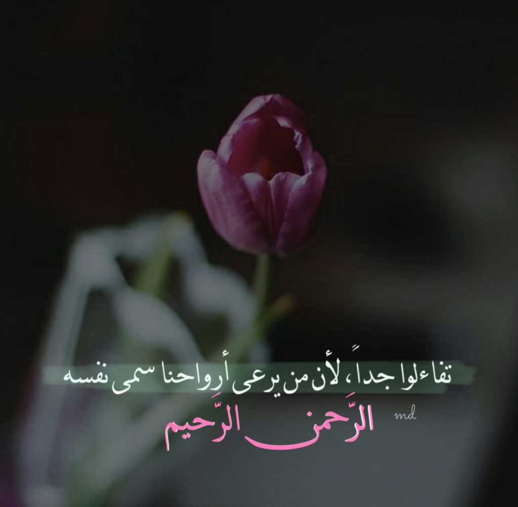 صور الوتساب