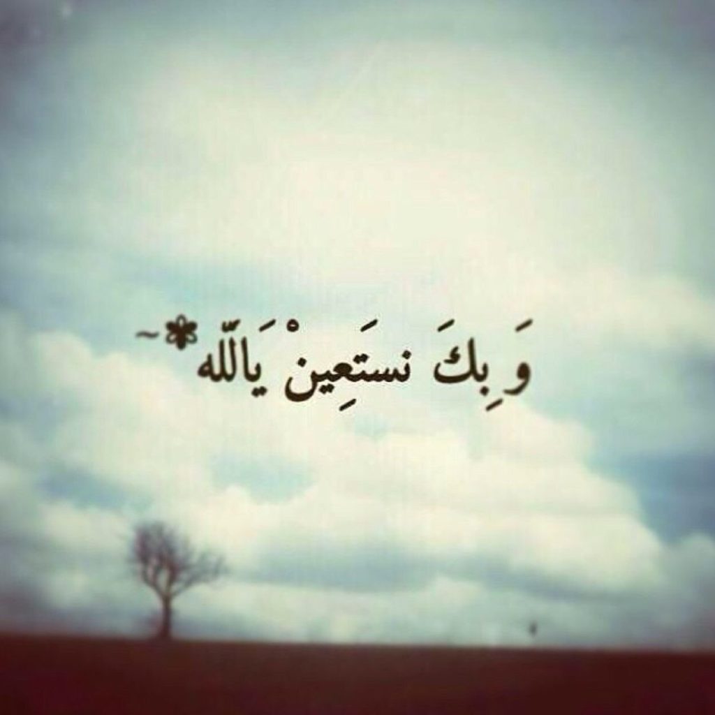 صور الوتساب