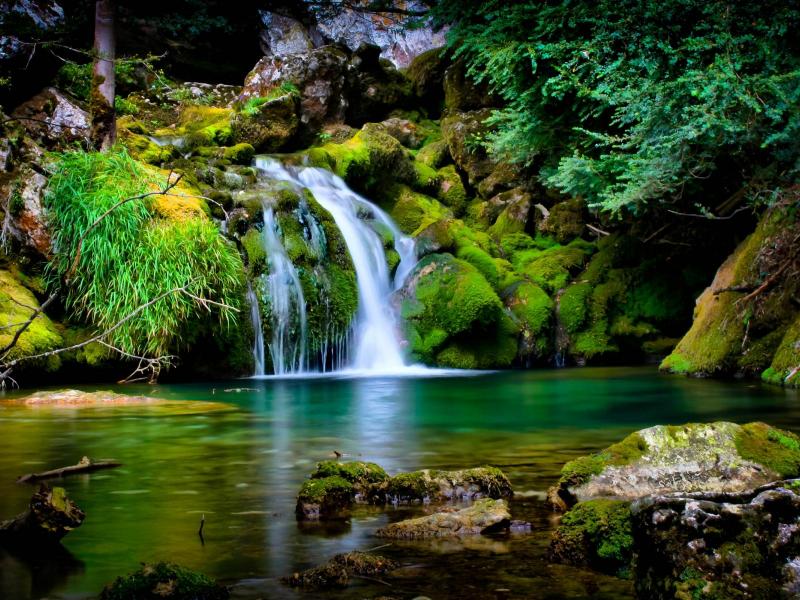 صور انستا