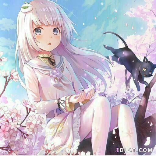 صور انمي جديدة أجمل صور الأنمى 2020