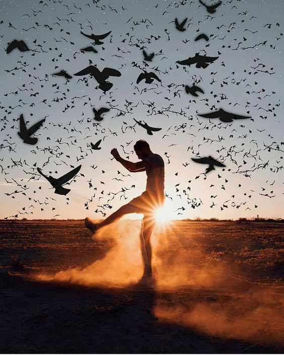 صور بروفايل