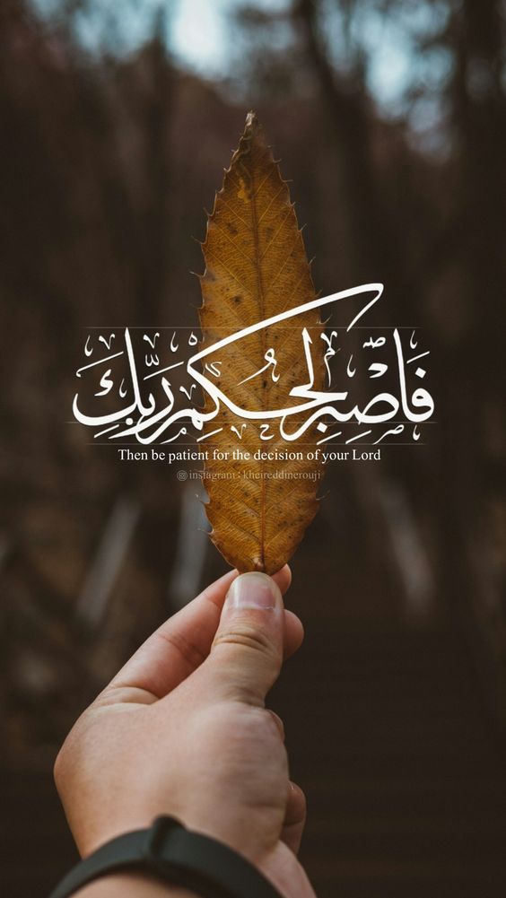 صور بروفايل