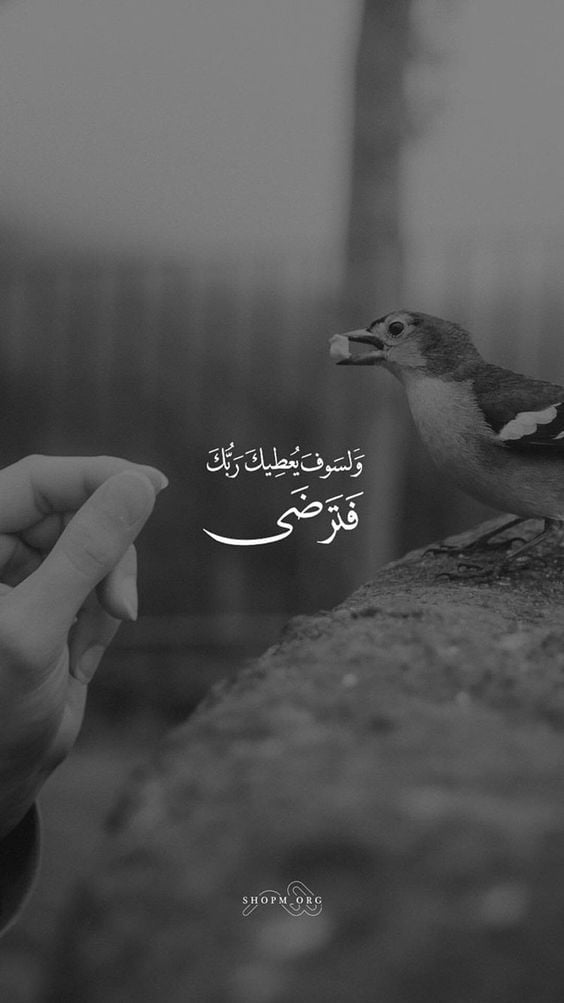 صور بروفايل