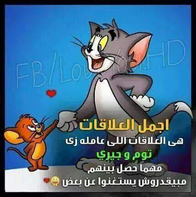 صور توم وجيري