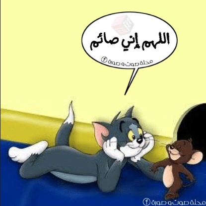 صور توم وجيري