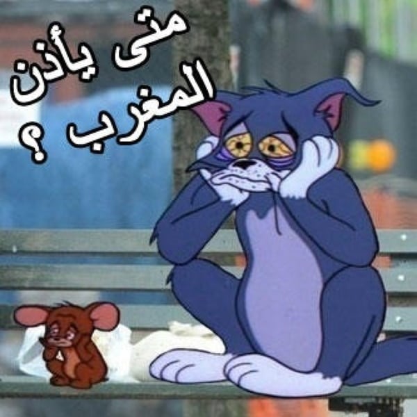 صور توم وجيري