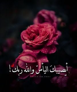 صور جميلة جديدة 2020