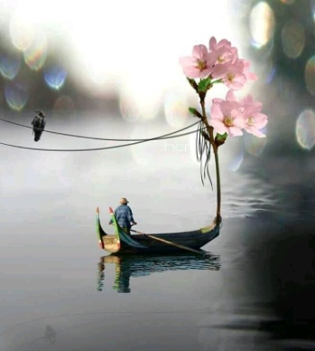 صور جميلة جديدة 2020