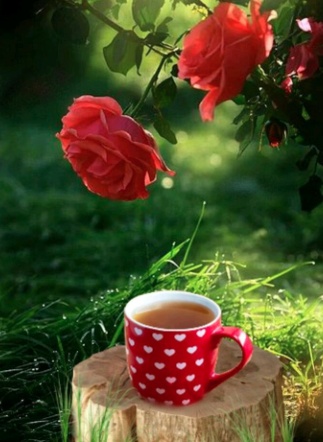 صور جميلة جديدة 2020