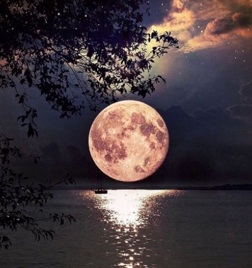 صور جميلة جديدة 2020