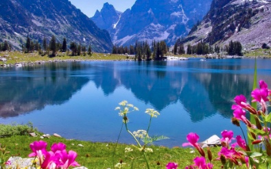 صور جميلة جديدة 2020