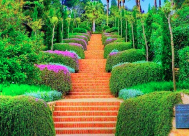 صور جميلة جديدة 2020