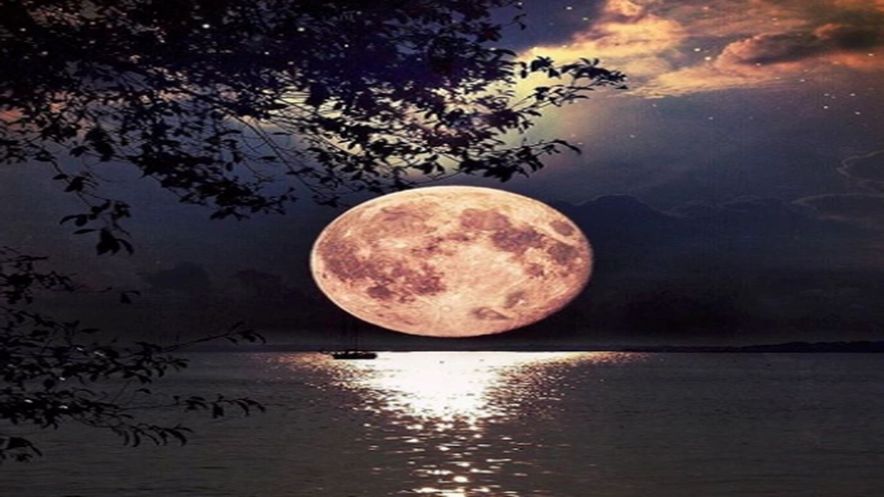 صورة صور جميلة جديدة 2020
