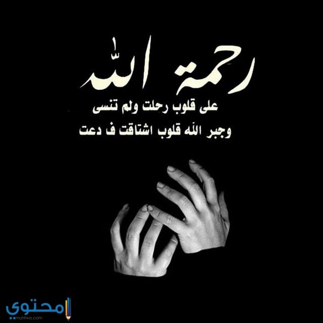 صور حداد