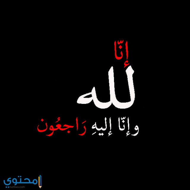 صور حداد