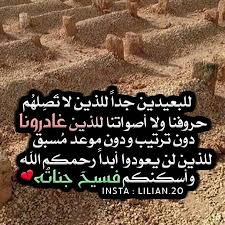 صور حداد