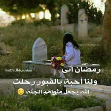 صور حداد