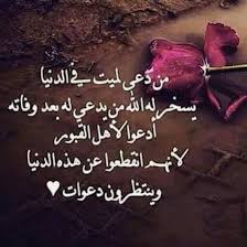 صور حداد