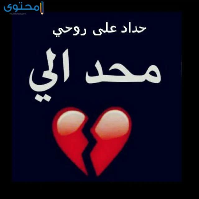 صور حداد