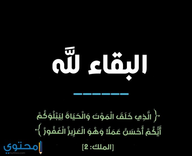 صور حداد