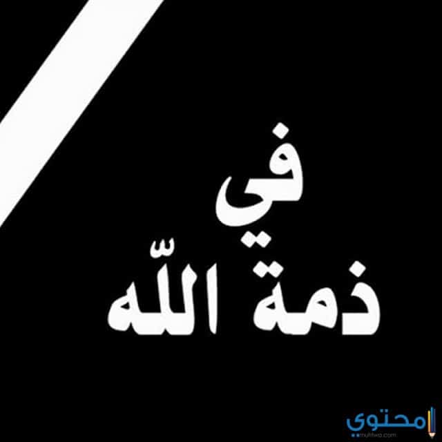 صور حداد