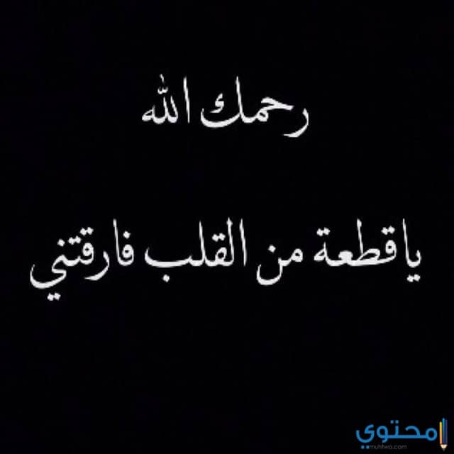 صور حداد