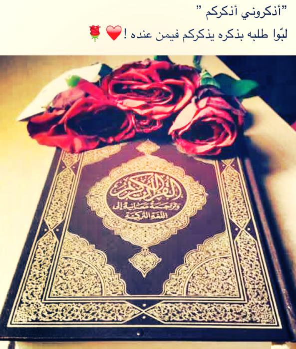 صور خلفيات