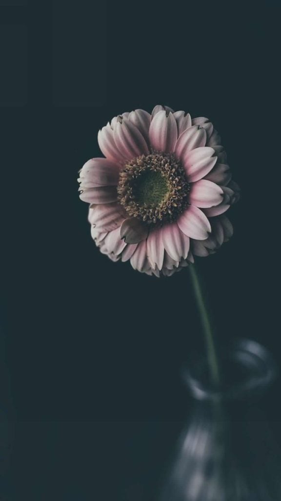 صور خلفيات