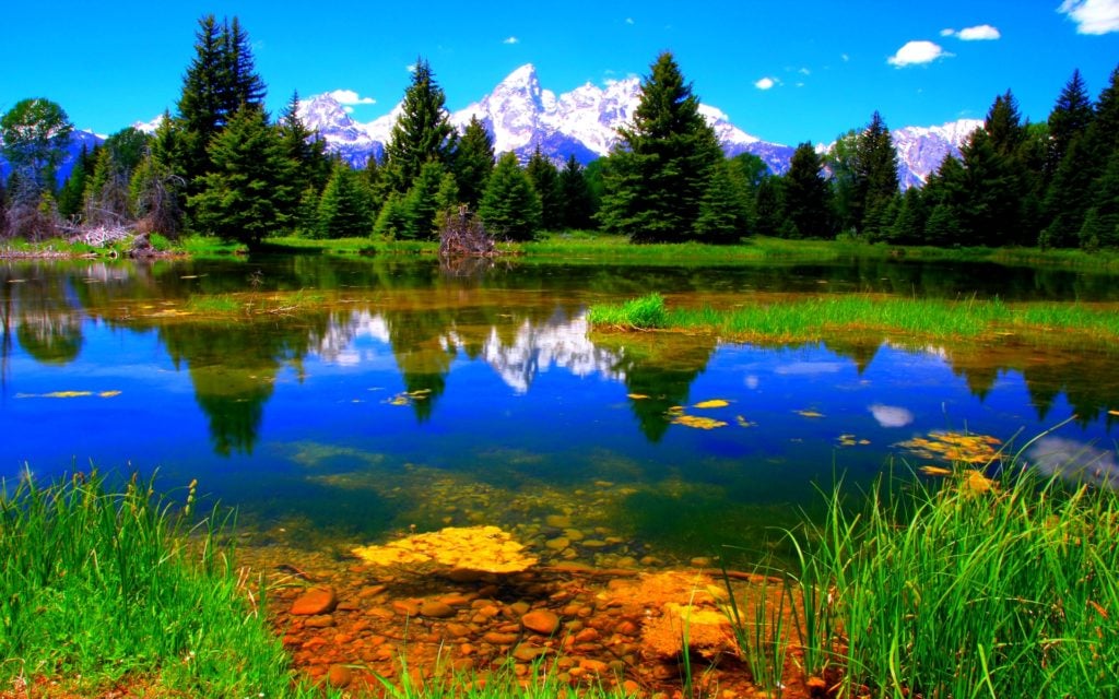 صور خلفيات